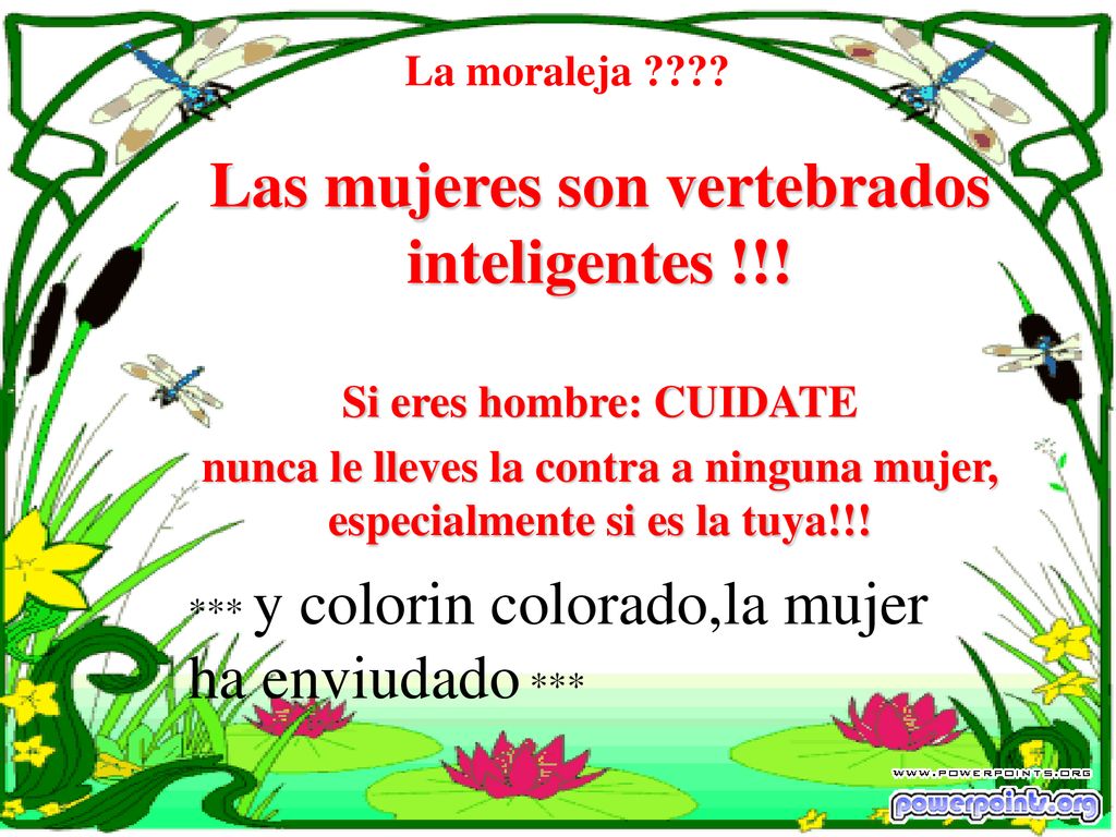 Las mujeres son vertebrados inteligentes !!! Si eres hombre: CUIDATE