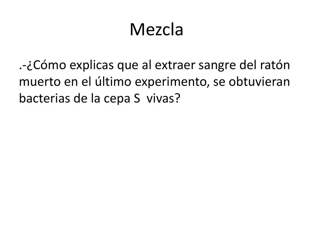 Mezcla .-¿Cómo explicas que al extraer sangre del ratón muerto en el último experimento, se obtuvieran bacterias de la cepa S vivas