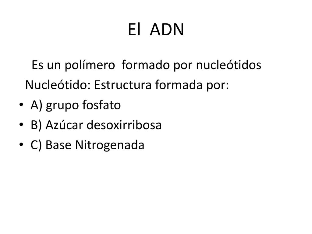 El ADN Es un polímero formado por nucleótidos