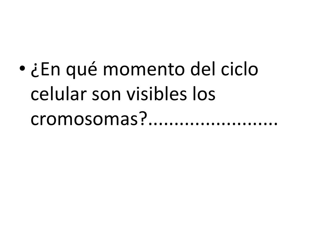 ¿En qué momento del ciclo celular son visibles los cromosomas