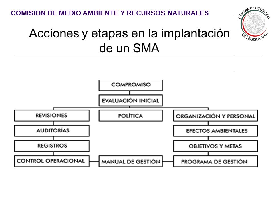Acciones y etapas en la implantación de un SMA