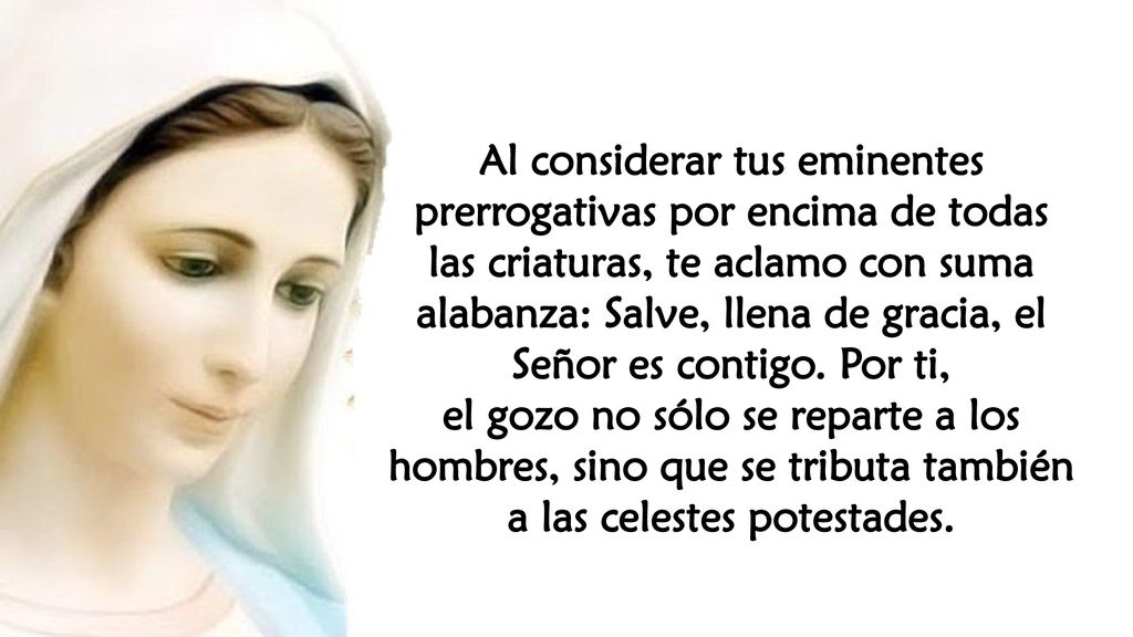 Al considerar tus eminentes prerrogativas por encima de todas las criaturas, te aclamo con suma alabanza: Salve, llena de gracia, el Señor es contigo. Por ti,