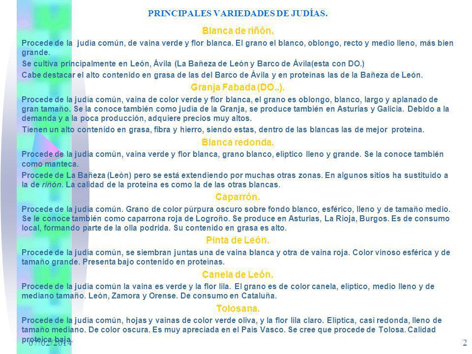 PRINCIPALES VARIEDADES DE JUDÍAS.