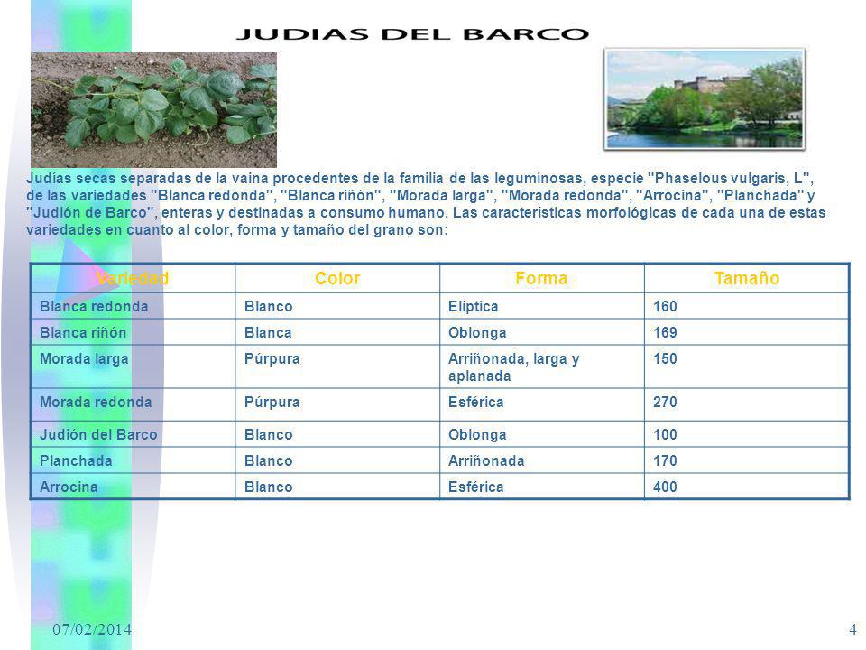 Variedad Color Forma Tamaño