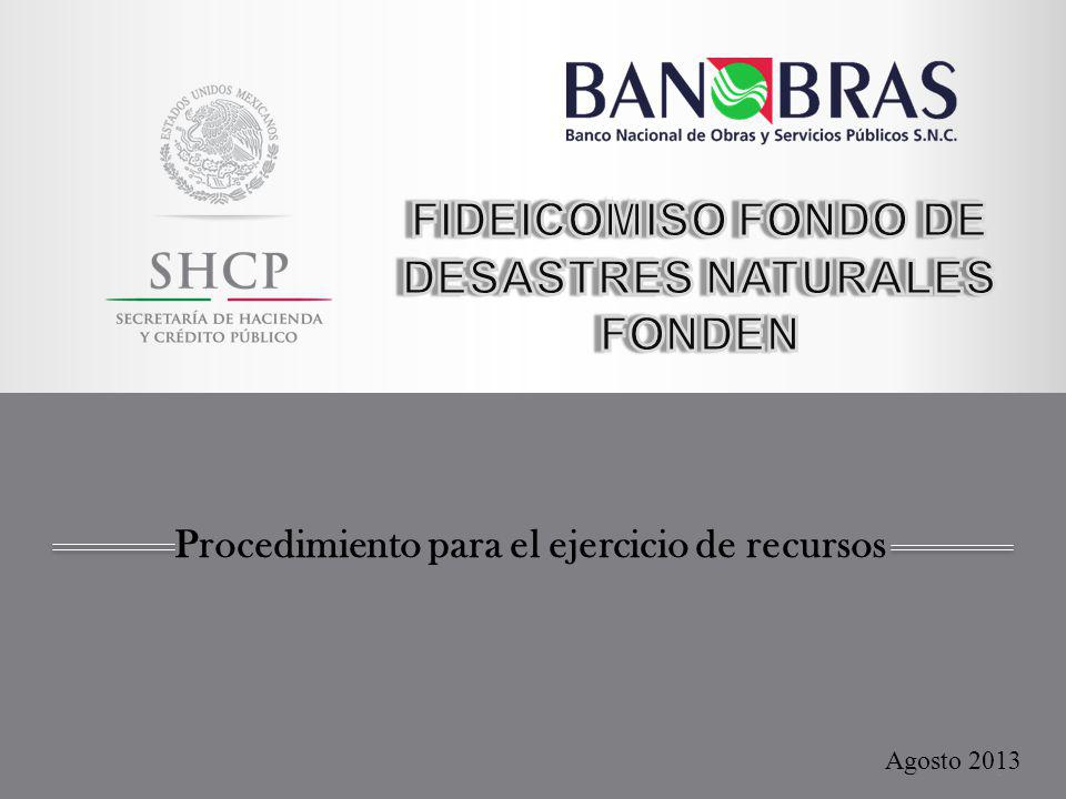 FIDEICOMISO FONDO DE DESASTRES NATURALES FONDEN