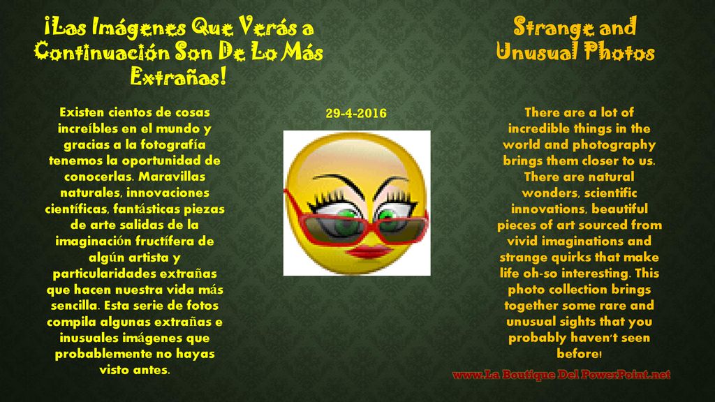 ¡Las Imágenes Que Verás a Continuación Son De Lo Más Extrañas!