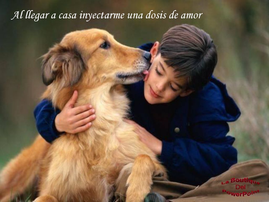 Al llegar a casa inyectarme una dosis de amor