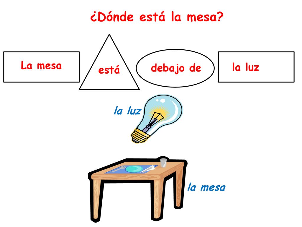 ¿Dónde está la mesa La mesa debajo de la luz está la luz la mesa