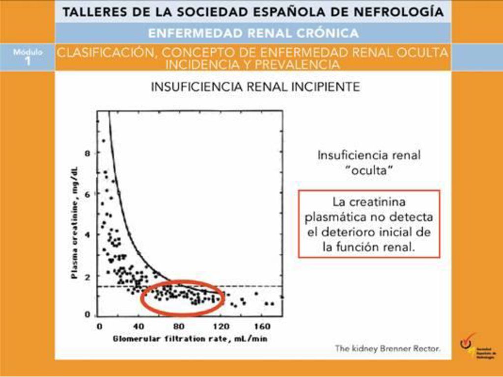 Además, en fases incipientes de fallo renal con reducciones del filtrado glomerular hasta 60 ml/min, no se comienza a apreciar la elevación de la creatinina plasmática.