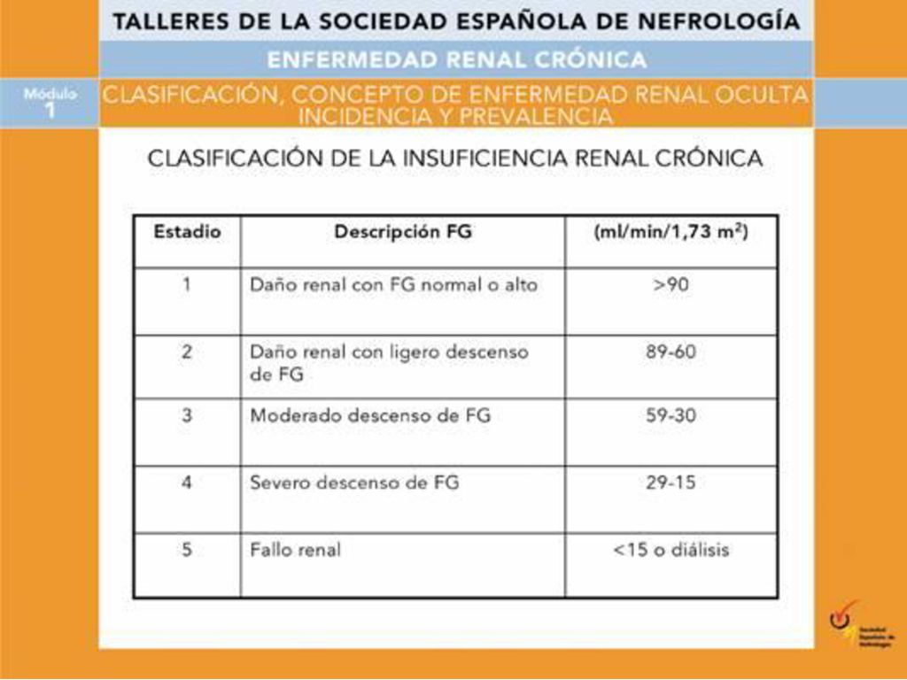 La actual clasificación de la insuficiencia renal crónica incluye un primer estadio en el que existen anomalías anatómicas con función renal normal o aumento del Filtrado Glomerular (FG), que es una alteración que se observa en los estadios iniciales de la nefropatía diabética.