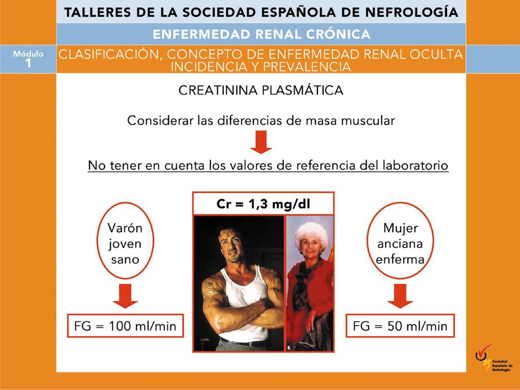 La explicación a este disbalance creatinina-aclaramiento se basa en la masa muscular.