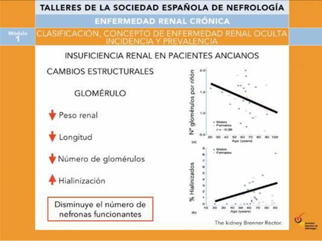 La presencia de reducción de la función renal con creatinina normal se da particularmente en los pacientes mayores.