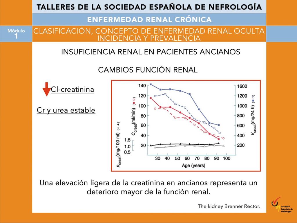 Así, como podemos ver en el gráfico, con la edad va descendiendo el aclaramiento de creatinina (en rojo) sin que apenas se eleve la creatinina plasmática, ya que al aumento de la edad le acompaña una disminución de la masa muscular.