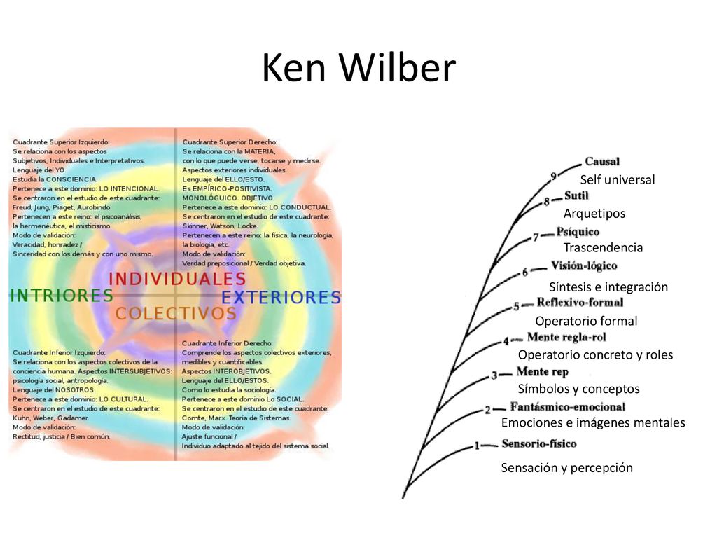 Ken Wilber Self universal Arquetipos Trascendencia
