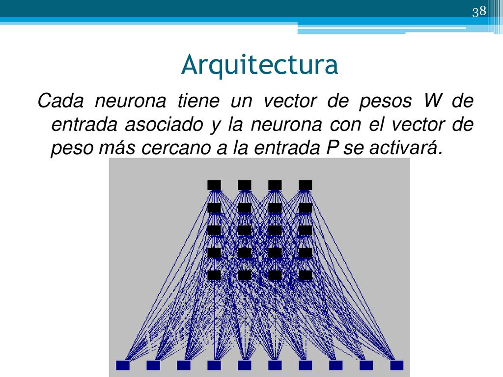 Arquitectura Cada neurona tiene un vector de pesos W de entrada asociado y la neurona con el vector de peso más cercano a la entrada P se activará.