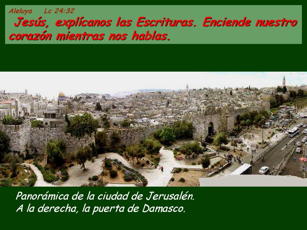 Aleluya Lc 24:32 Jesús, explícanos las Escrituras. Enciende nuestro corazón mientras nos hablas.