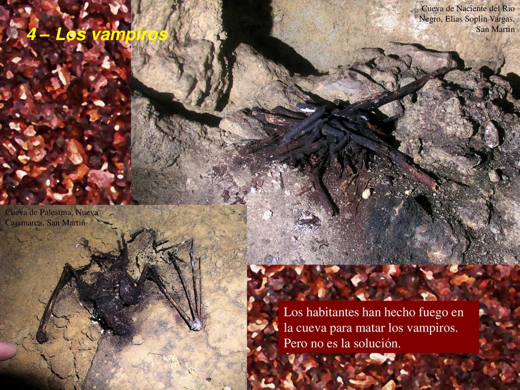 Cueva de Naciente del Rio Negro, Elias Soplin Vargas, San Martin