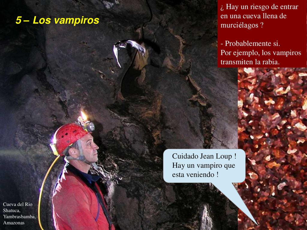 ¿ Hay un riesgo de entrar en una cueva llena de murciélagos