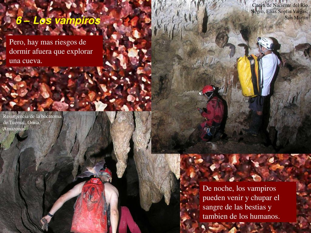 Cueva de Naciente del Rio Negro, Elias Soplin Vargas, San Martin
