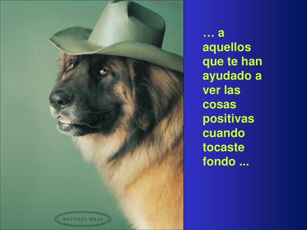 … a aquellos que te han ayudado a ver las cosas positivas