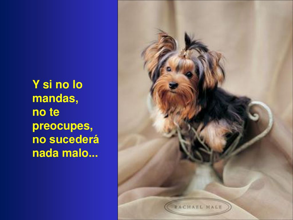 Y si no lo mandas, no te preocupes, no sucederá nada malo...