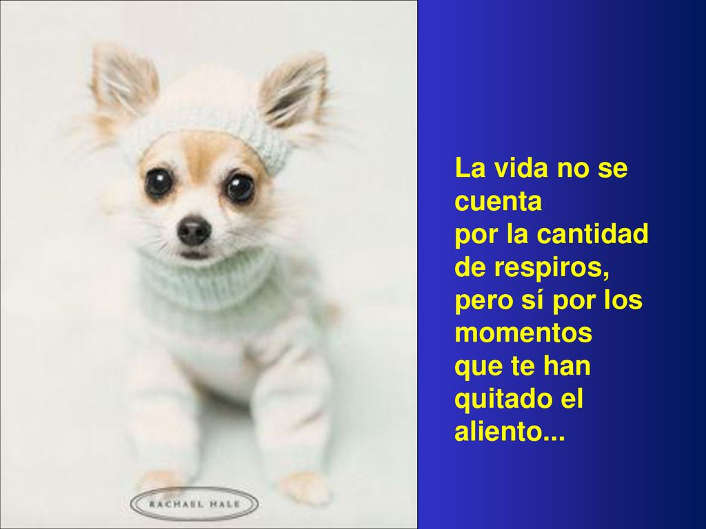 La vida no se cuenta por la cantidad de respiros, pero sí por los momentos.