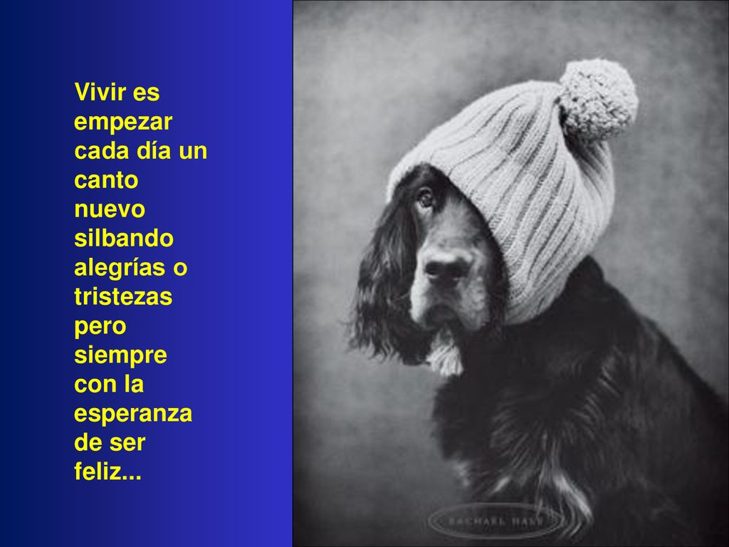 Vivir es empezar cada día un canto nuevo silbando alegrías o tristezas pero siempre con la esperanza de ser feliz...