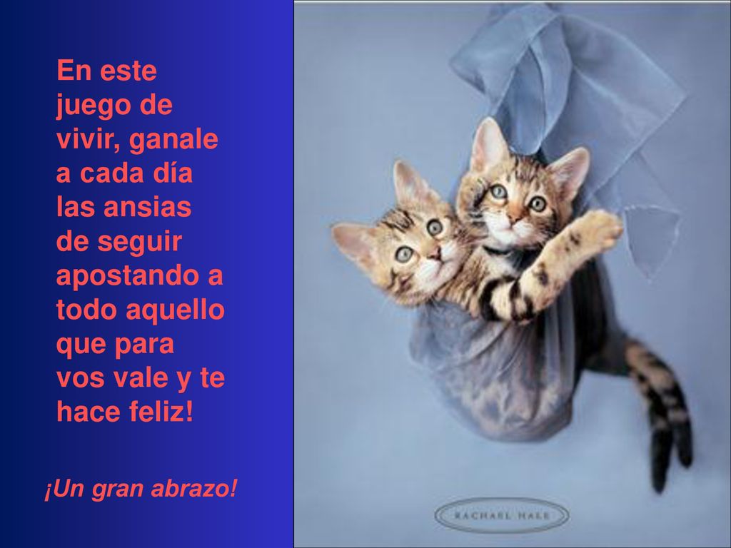 .. En este juego de vivir, ganale a cada día las ansias de seguir apostando a todo aquello que para vos vale y te hace feliz!
