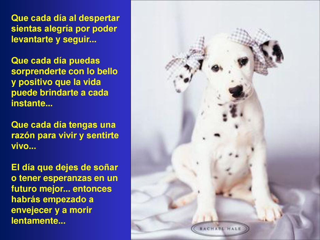 Que cada día al despertar sientas alegría por poder levantarte y seguir...