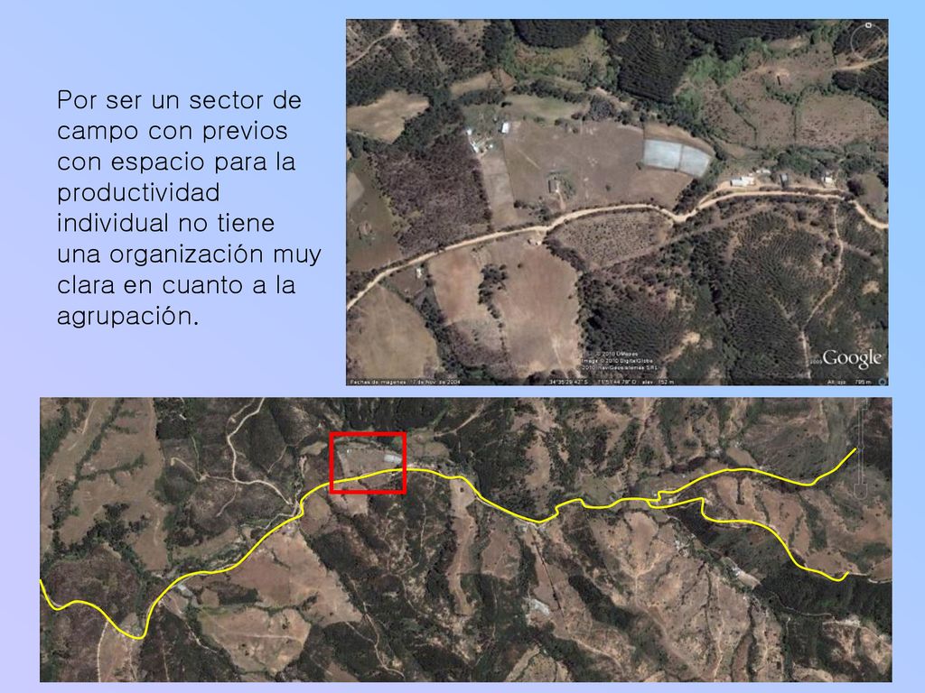 Por ser un sector de campo con previos con espacio para la productividad individual no tiene una organización muy clara en cuanto a la agrupación.