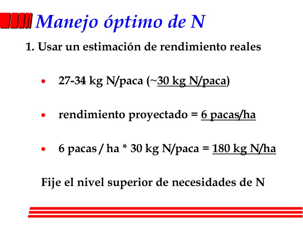 Manejo óptimo de N 1. Usar un estimación de rendimiento reales
