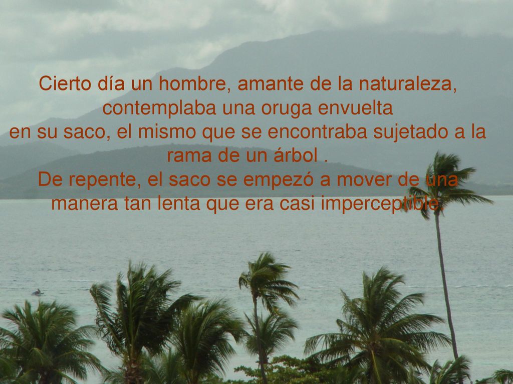 Cierto día un hombre, amante de la naturaleza, contemplaba una oruga envuelta