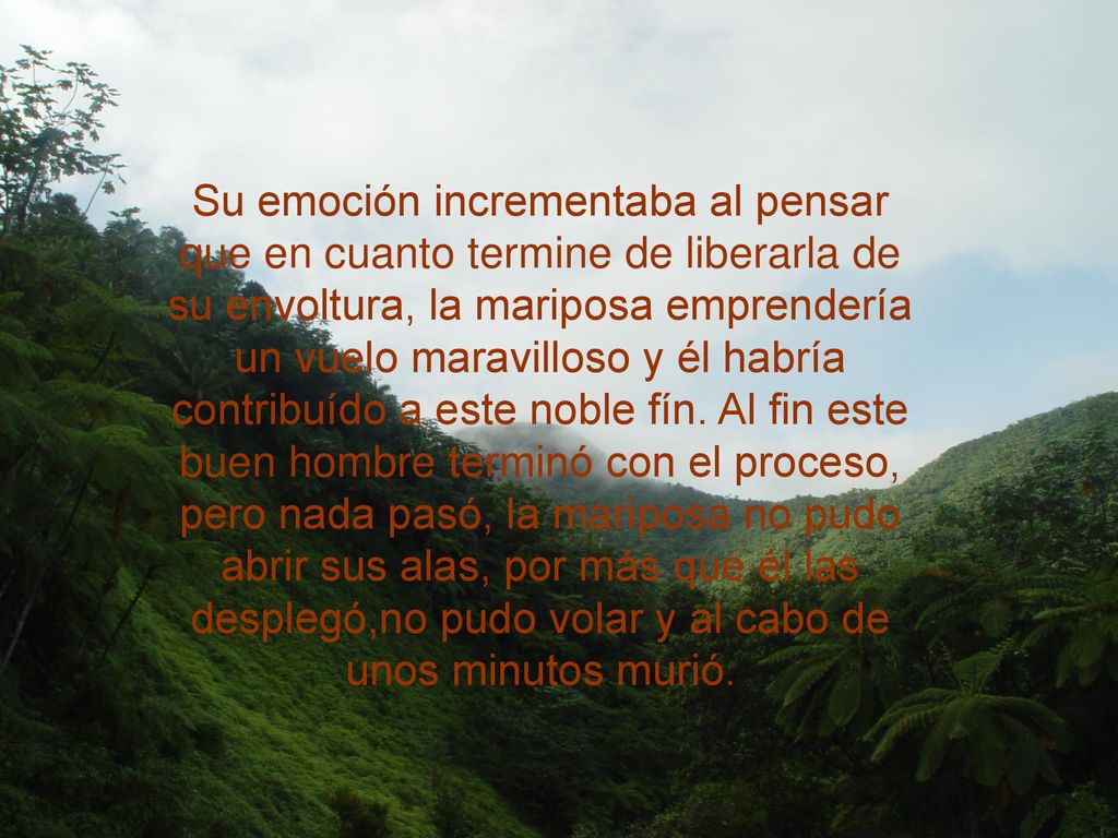 Su emoción incrementaba al pensar que en cuanto termine de liberarla de su envoltura, la mariposa emprendería un vuelo maravilloso y él habría contribuído a este noble fín.