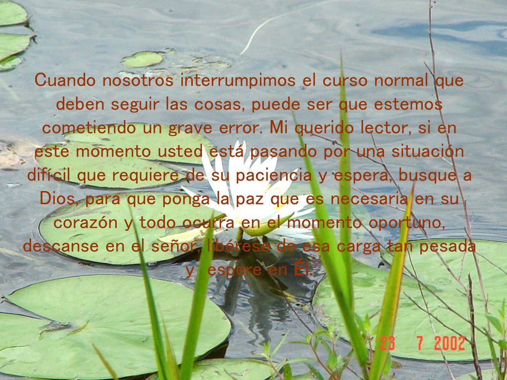 Cuando nosotros interrumpimos el curso normal que deben seguir las cosas, puede ser que estemos cometiendo un grave error.