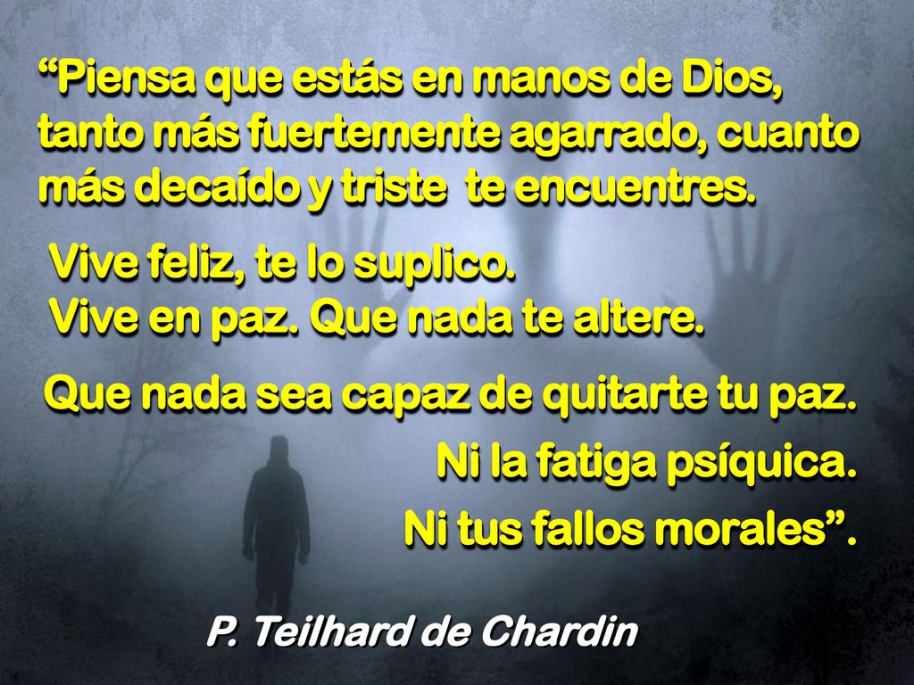 Vive feliz, te lo suplico. Vive en paz. Que nada te altere.