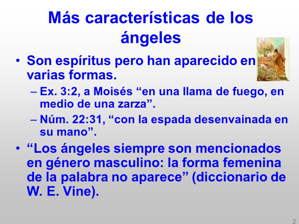 Más características de los ángeles