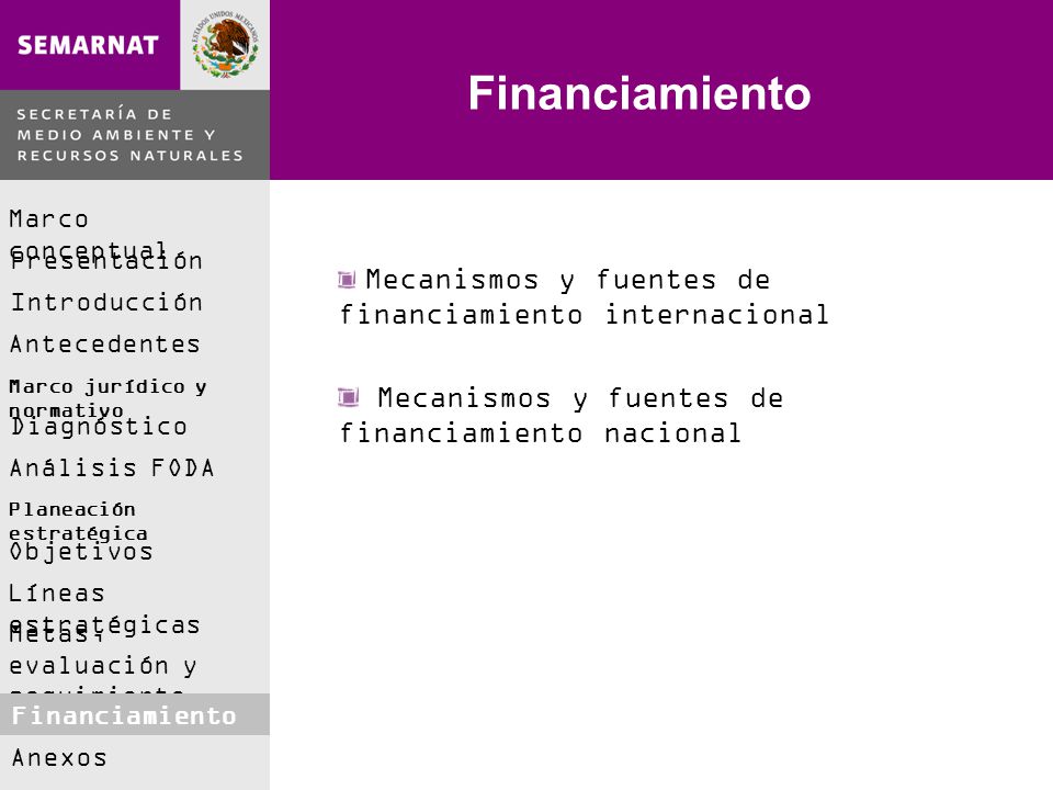 Financiamiento Mecanismos y fuentes de financiamiento nacional
