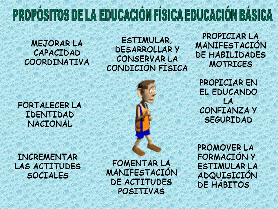 PROPÓSITOS DE LA EDUCACIÓN FÍSICA EDUCACIÓN BÁSICA
