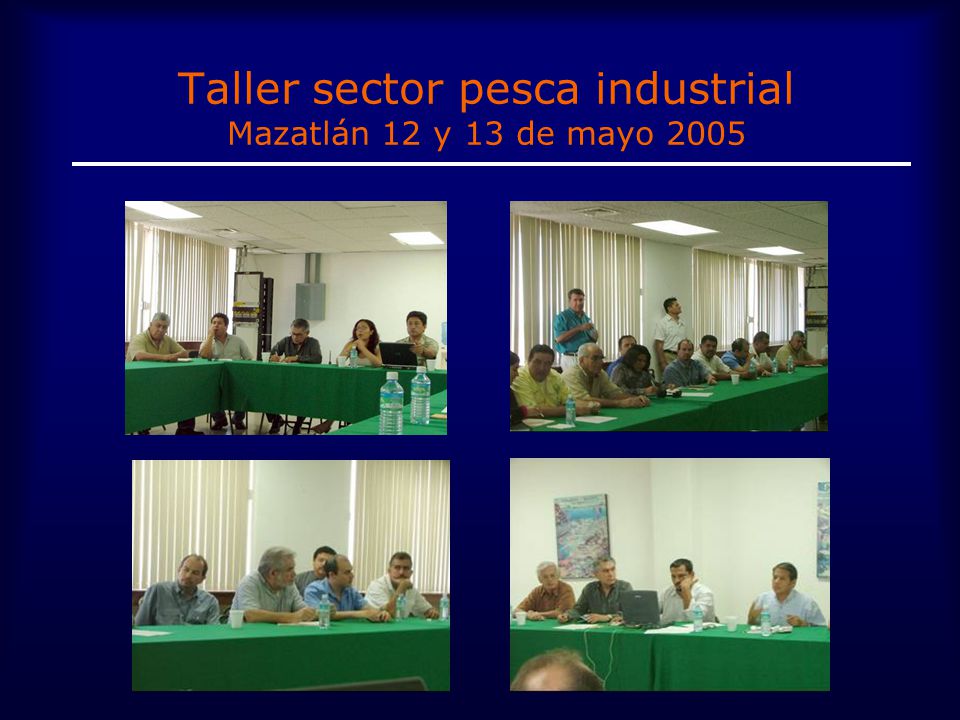 Taller sector pesca industrial Mazatlán 12 y 13 de mayo 2005