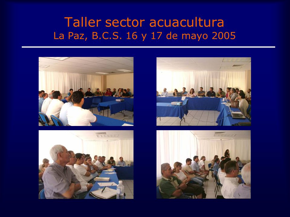 Taller sector acuacultura La Paz, B.C.S. 16 y 17 de mayo 2005