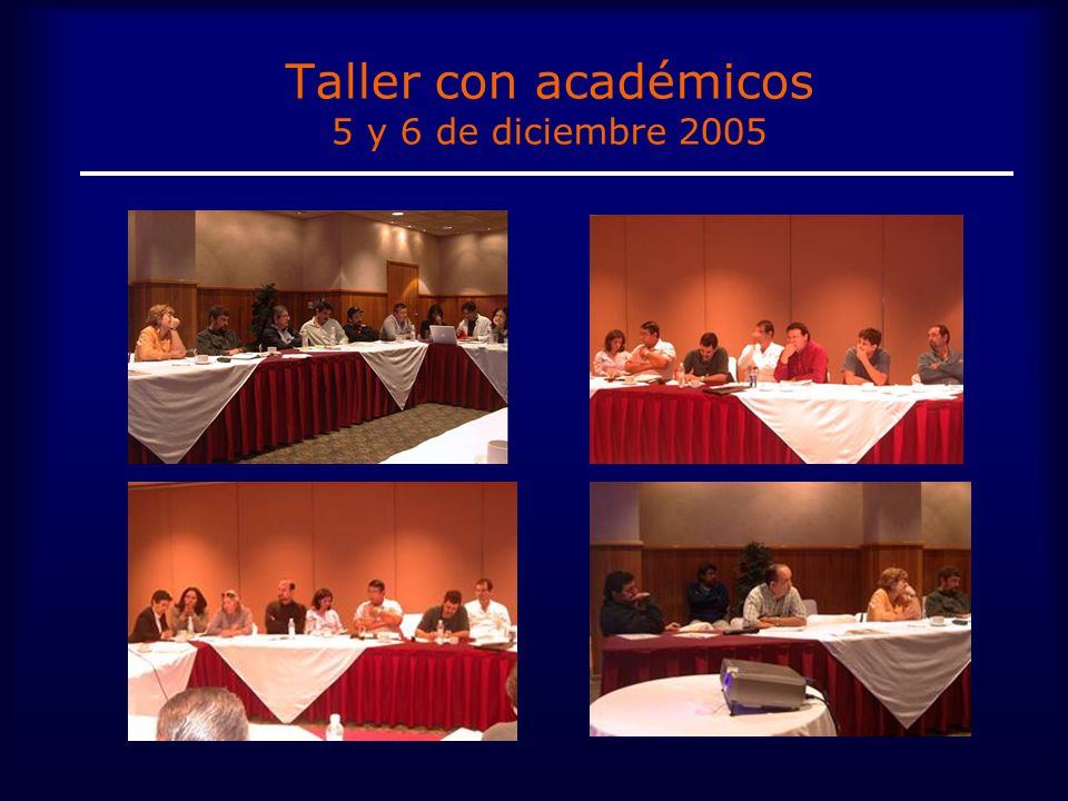 Taller con académicos 5 y 6 de diciembre 2005