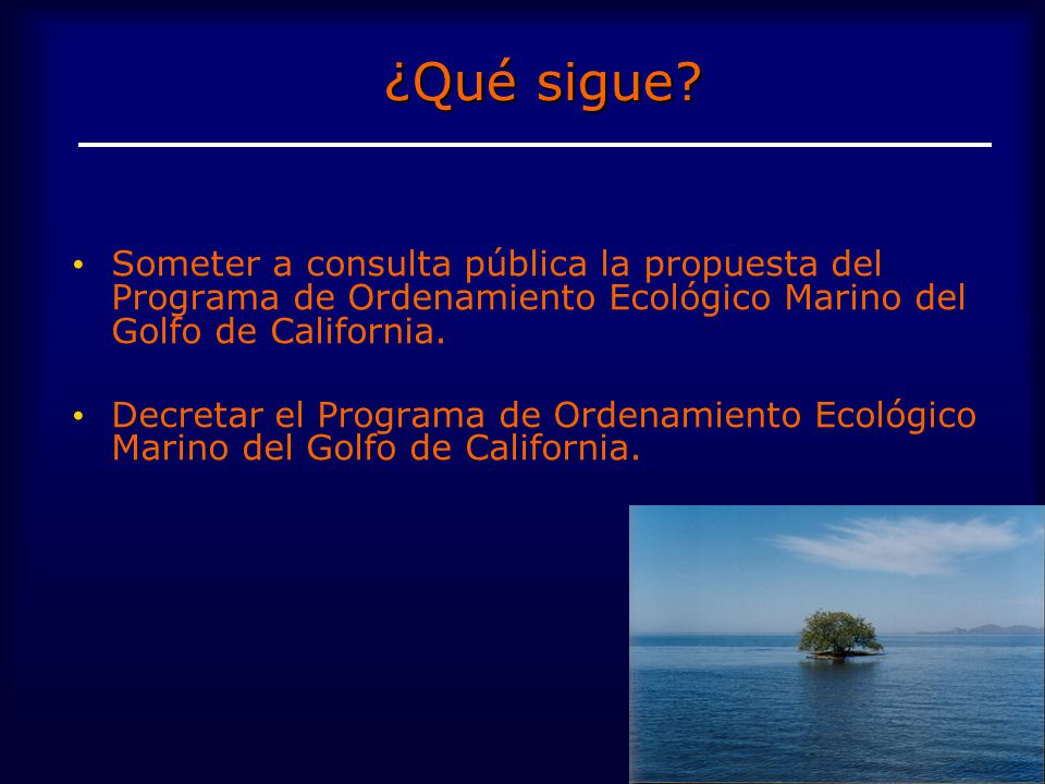 ¿Qué sigue Someter a consulta pública la propuesta del Programa de Ordenamiento Ecológico Marino del Golfo de California.