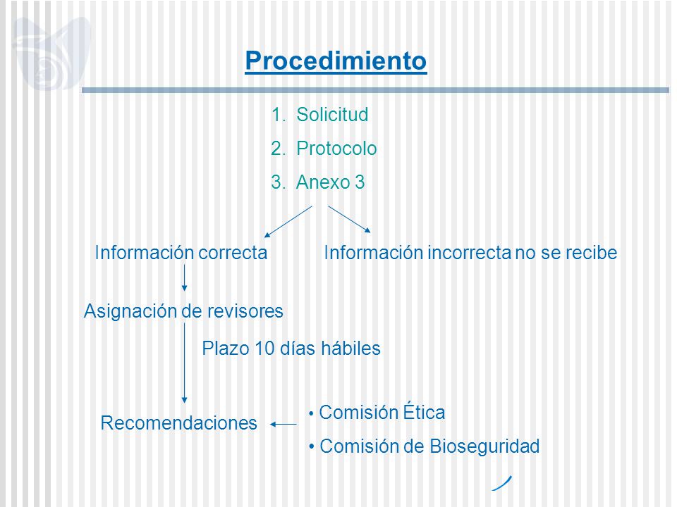 Procedimiento Solicitud Protocolo Anexo 3 Información correcta
