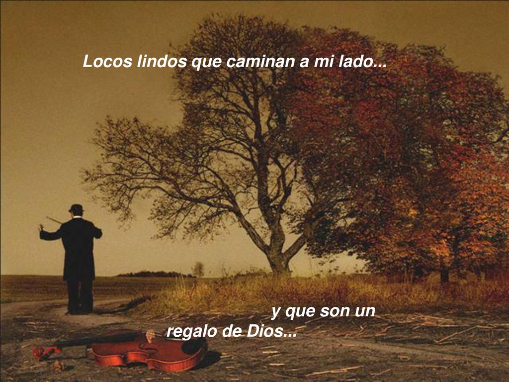 Locos lindos que caminan a mi lado... y que son un regalo de Dios...