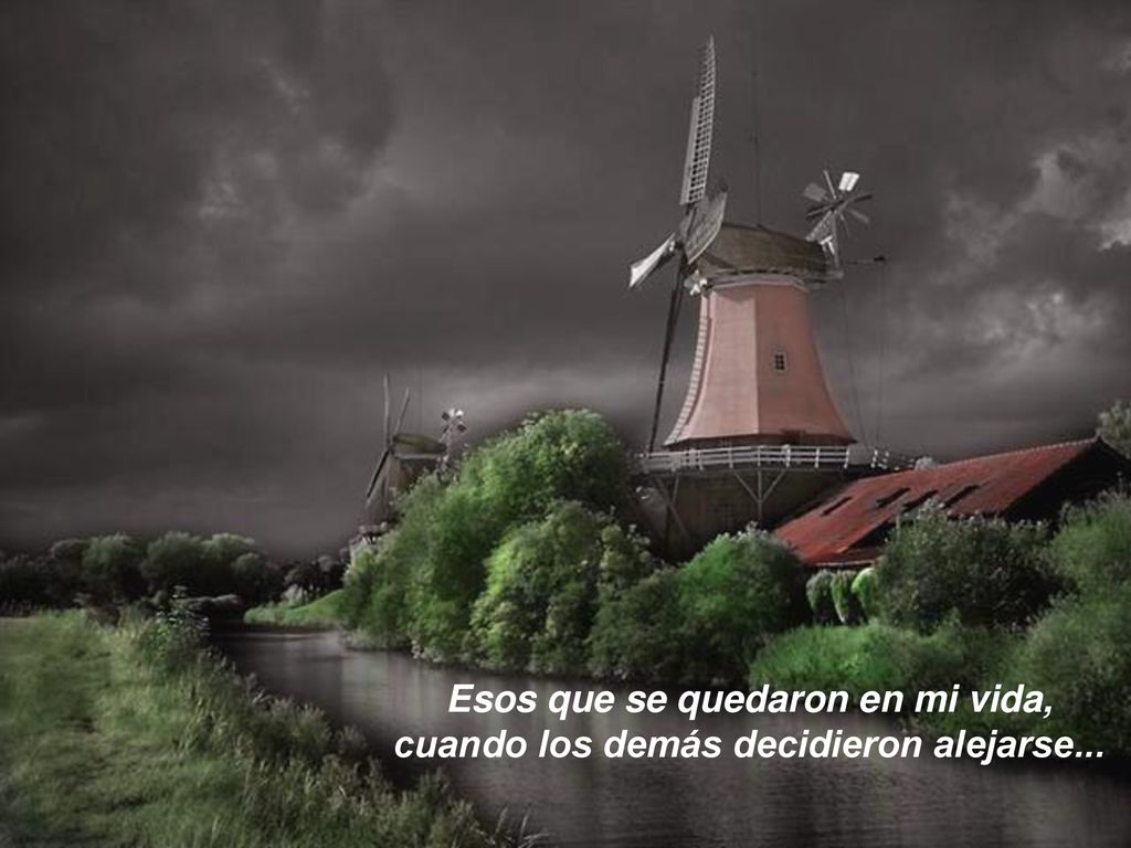 Esos que se quedaron en mi vida, cuando los demás decidieron alejarse...