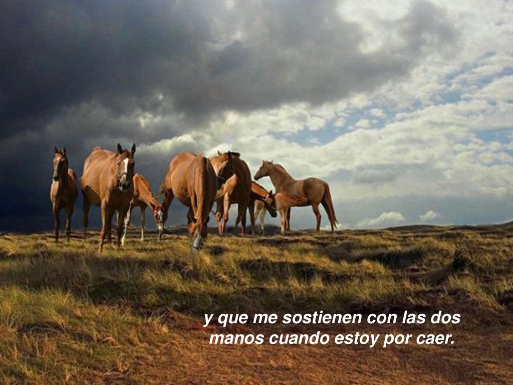 y que me sostienen con las dos manos cuando estoy por caer.