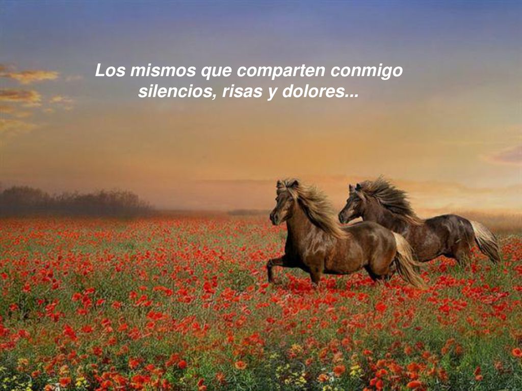 Los mismos que comparten conmigo silencios, risas y dolores...