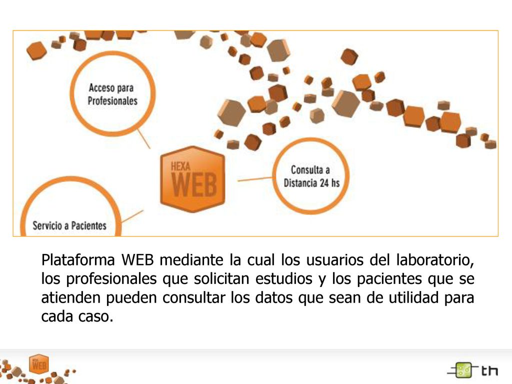 Plataforma WEB mediante la cual los usuarios del laboratorio, los profesionales que solicitan estudios y los pacientes que se atienden pueden consultar los datos que sean de utilidad para cada caso.