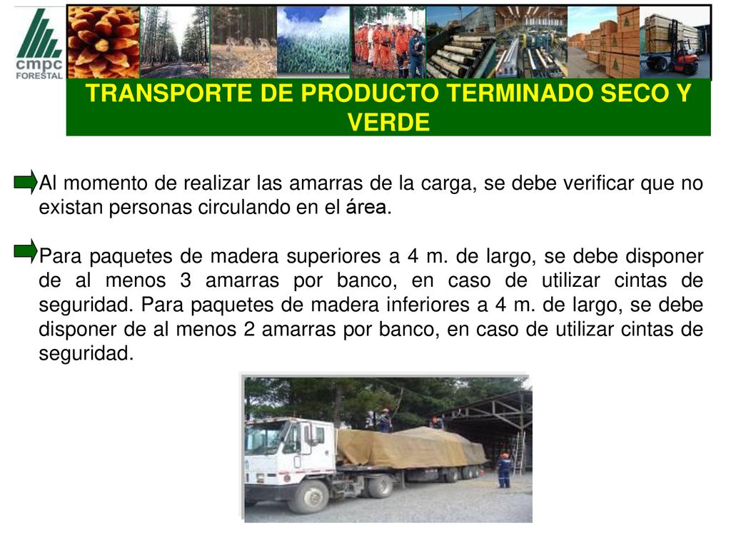 TRANSPORTE DE PRODUCTO TERMINADO SECO Y VERDE