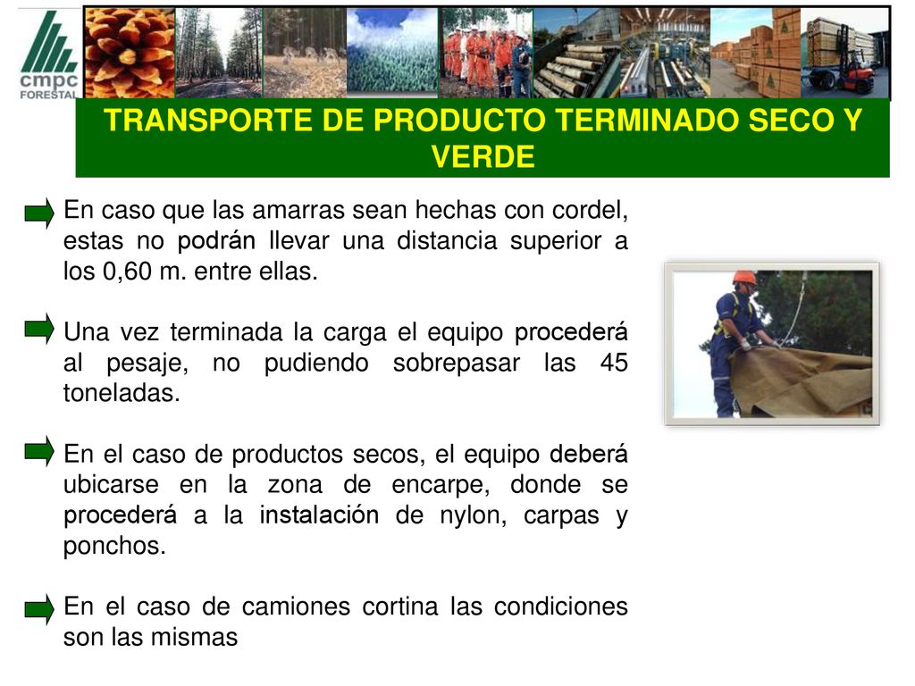 TRANSPORTE DE PRODUCTO TERMINADO SECO Y VERDE